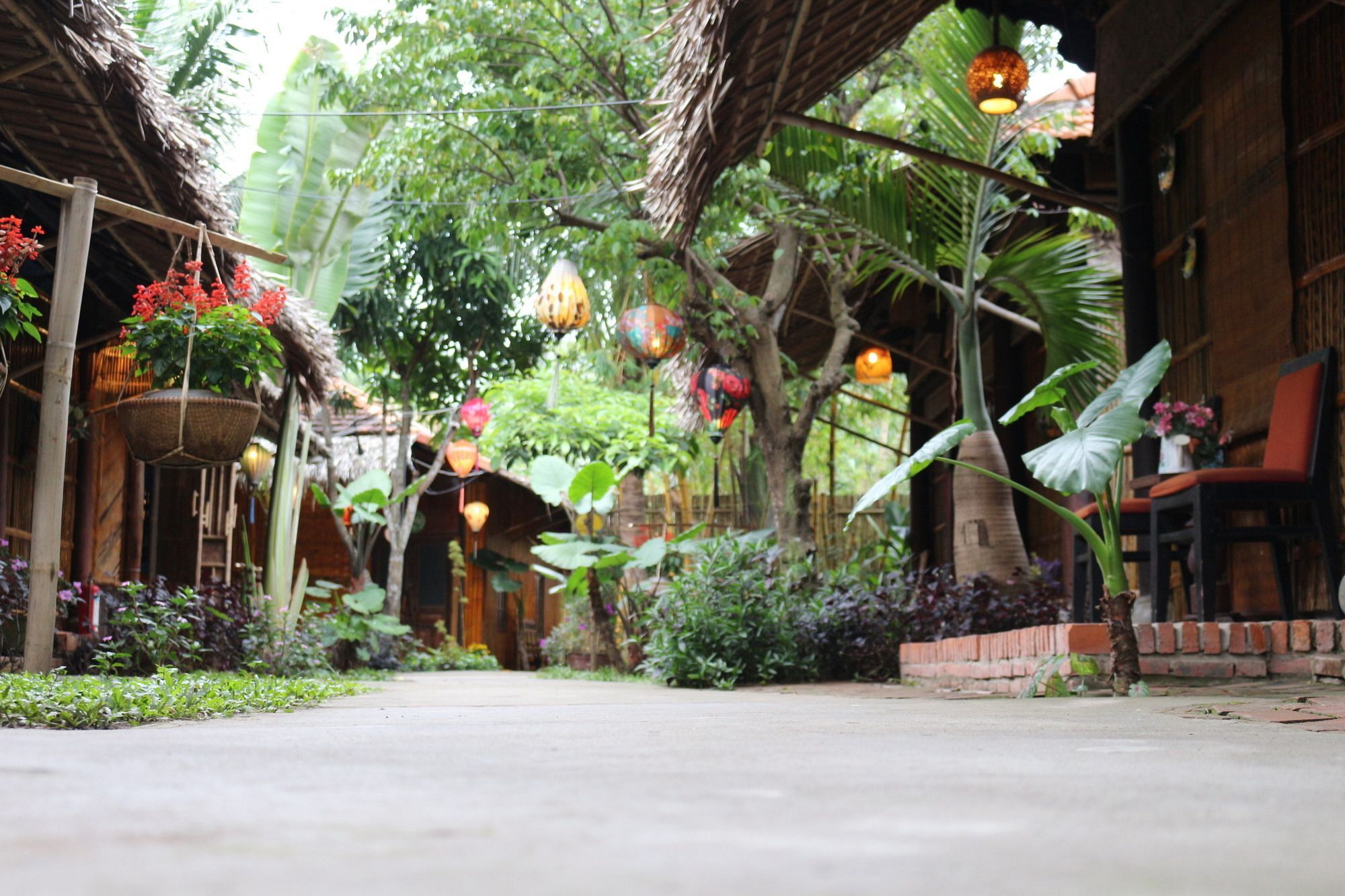Under The Coconut Tree Hotel Хой Ан Екстериор снимка